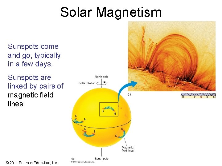 Solar Magnetism Sunspots come and go, typically in a few days. Sunspots are linked