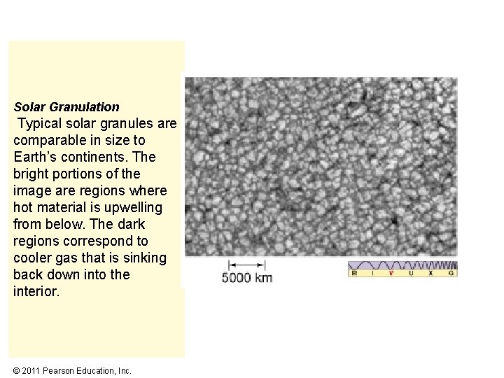  Solar Granulation Typical solar granules are comparable in size to Earth’s continents. The