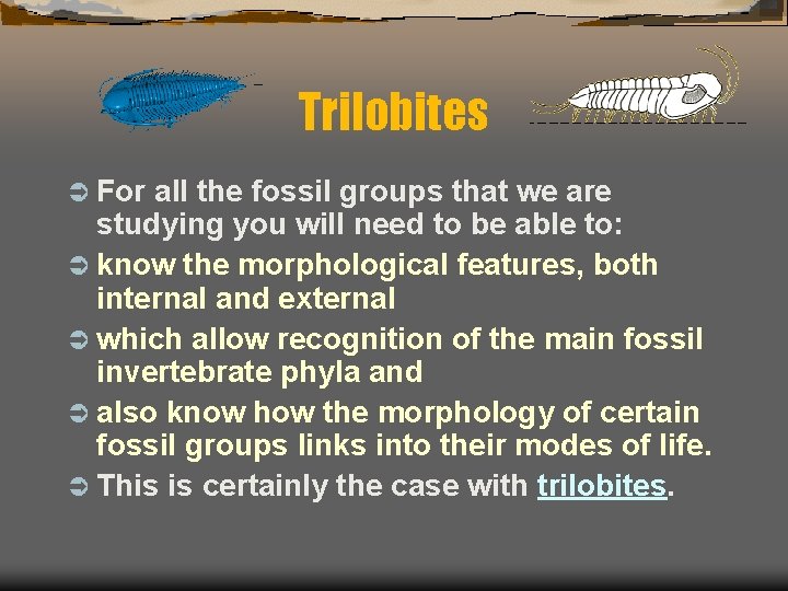 Trilobites Ü For all the fossil groups that we are studying you will need