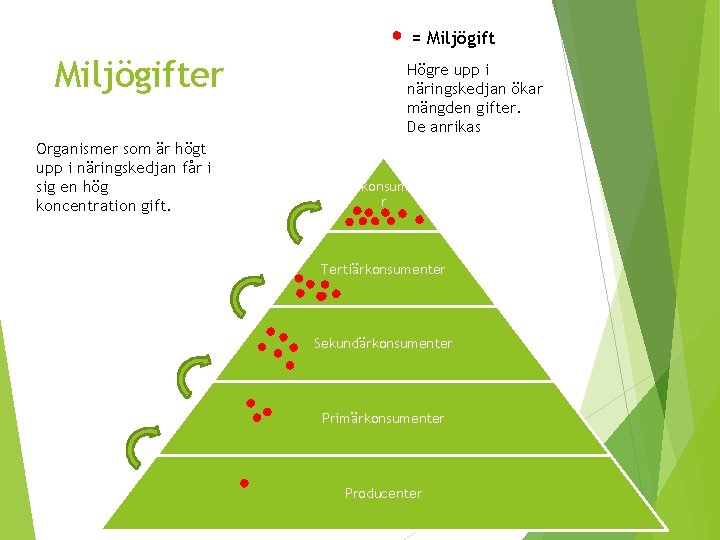 = Miljögifter Organismer som är högt upp i näringskedjan får i sig en hög = Miljögifter Organismer som är högt upp i näringskedjan får i sig en hög