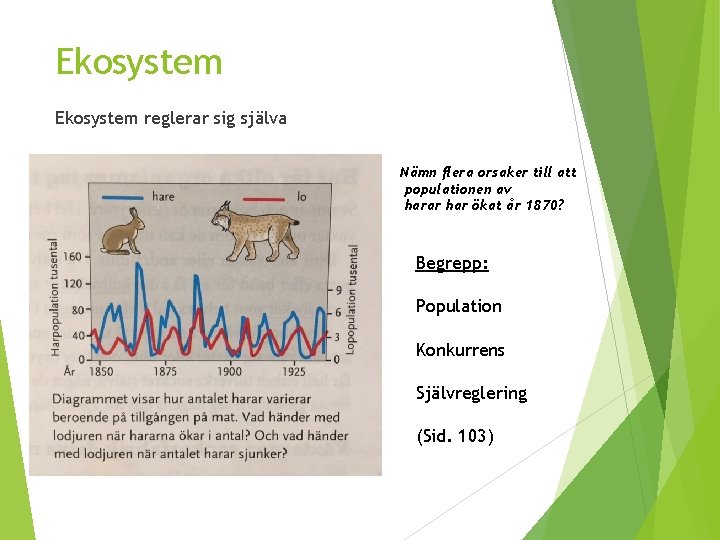 Ekosystem reglerar sig själva Nämn flera orsaker till att populationen av harar har ökat Ekosystem reglerar sig själva Nämn flera orsaker till att populationen av harar har ökat