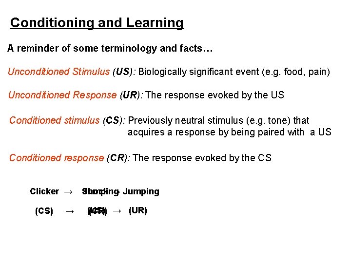 Conditioning and Learning A reminder of some terminology and facts… Unconditioned Stimulus (US): Biologically