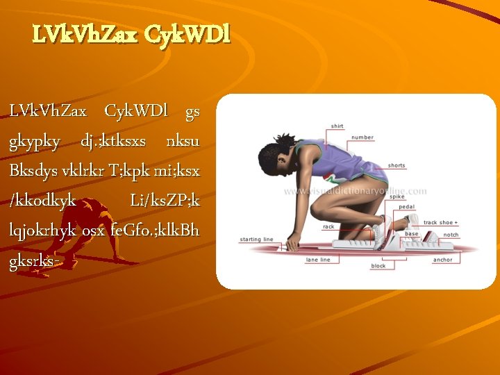 LVk. Vh. Zax Cyk. WDl gs gkypky dj. ; ktksxs nksu Bksdys vklrkr T;