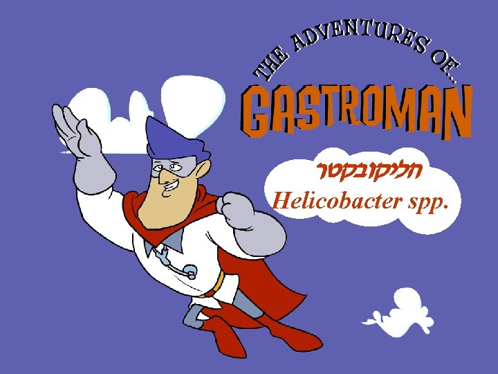  הליקובקטר Helicobacter spp. 1 