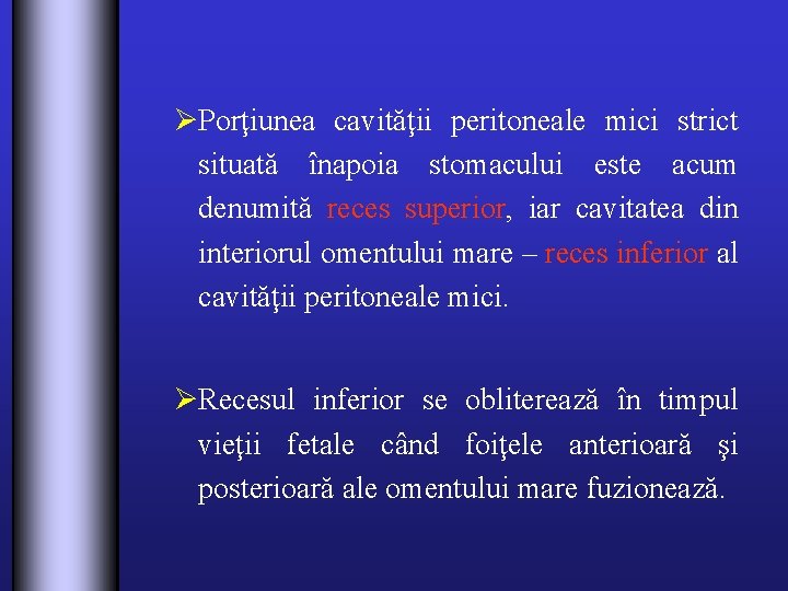 ØPorţiunea cavităţii peritoneale mici strict situată înapoia stomacului este acum denumită reces superior, iar