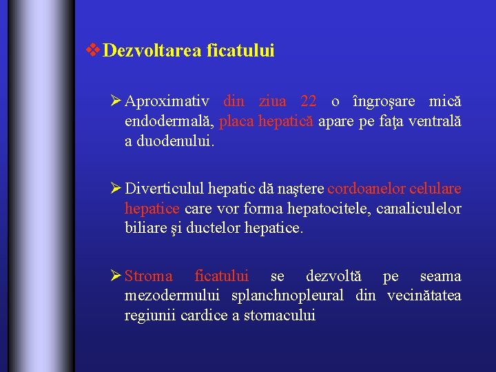 v Dezvoltarea ficatului Ø Aproximativ din ziua 22 o îngroşare mică endodermală, placa hepatică