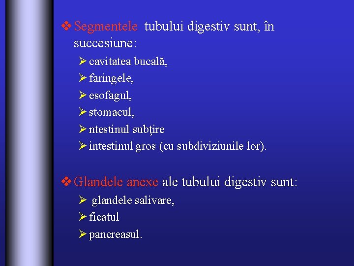 v Segmentele tubului digestiv sunt, în succesiune: Ø cavitatea bucală, Ø faringele, Ø esofagul,