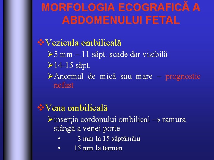 MORFOLOGIA ECOGRAFICĂ A ABDOMENULUI FETAL v. Vezicula ombilicală Ø 5 mm – 11 săpt.