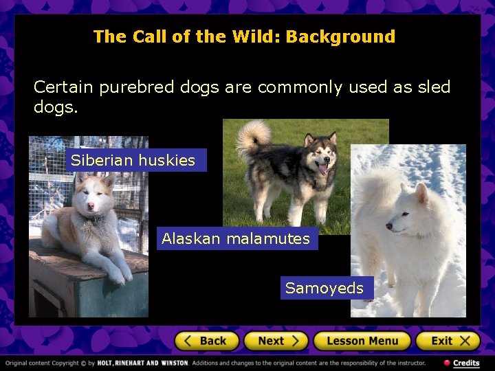 The Call of the Wild: Background Certain purebred dogs are commonly used as sled