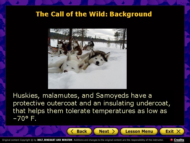 The Call of the Wild: Background Huskies, malamutes, and Samoyeds have a protective outercoat The Call of the Wild: Background Huskies, malamutes, and Samoyeds have a protective outercoat