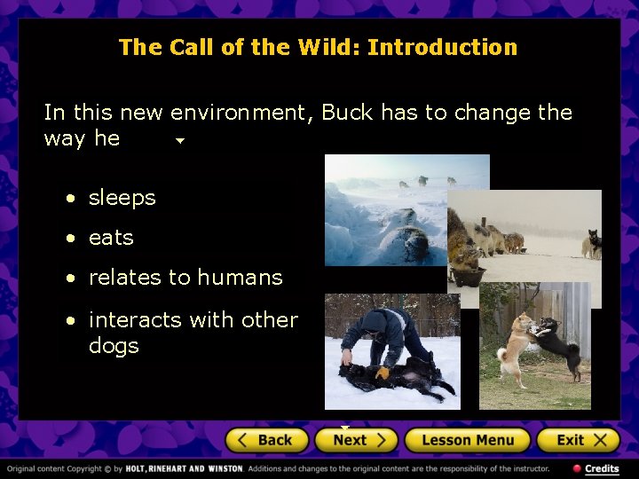 The Call of the Wild: Introduction In this new environment, Buck has to change