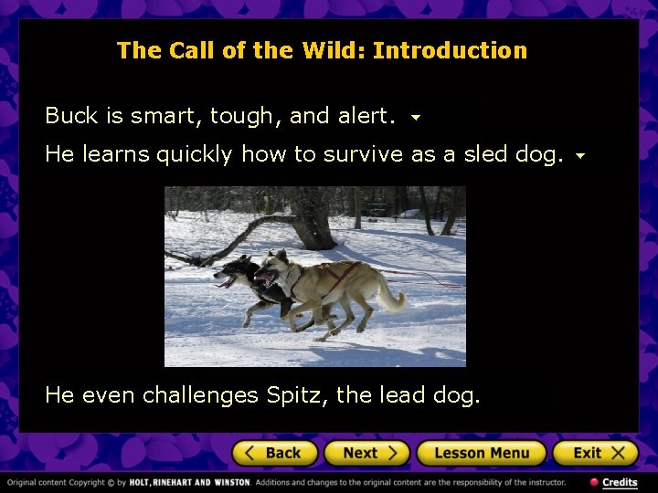 The Call of the Wild: Introduction Buck is smart, tough, and alert. He learns The Call of the Wild: Introduction Buck is smart, tough, and alert. He learns