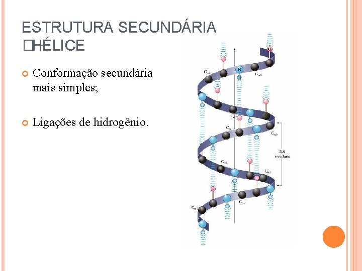 ESTRUTURA SECUNDÁRIA �HÉLICE Conformação secundária mais simples; Ligações de hidrogênio. 