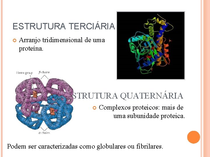 ESTRUTURA TERCIÁRIA Arranjo tridimensional de uma proteína. ESTRUTURA QUATERNÁRIA Complexos proteicos: mais de uma