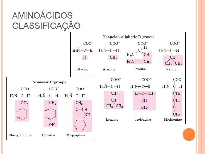 AMINOÁCIDOS CLASSIFICAÇÃO 