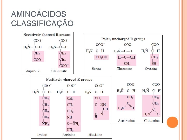 AMINOÁCIDOS CLASSIFICAÇÃO 