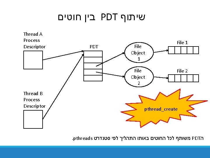  בין חוטים PDT שיתוף Thread A Process Descriptor PDT File Object 1 File