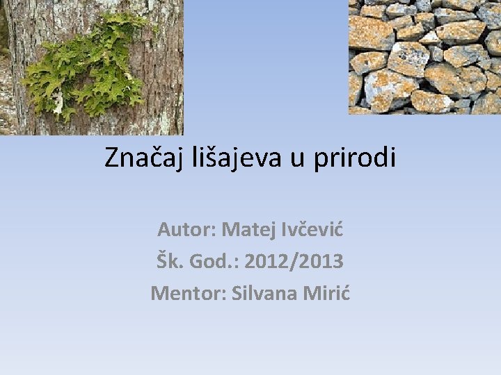 Značaj lišajeva u prirodi Autor: Matej Ivčević Šk. God. : 2012/2013 Mentor: Silvana Mirić