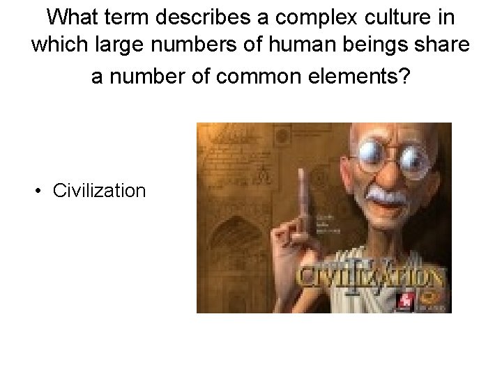 What term describes a complex culture in which large numbers of human beings share