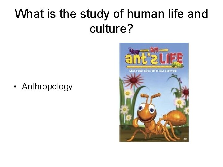 What is the study of human life and culture? • Anthropology 