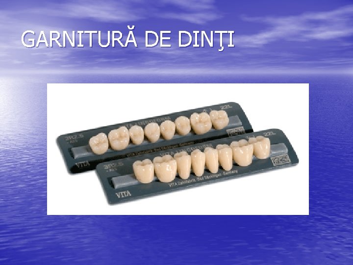 GARNITURĂ DE DINŢI 