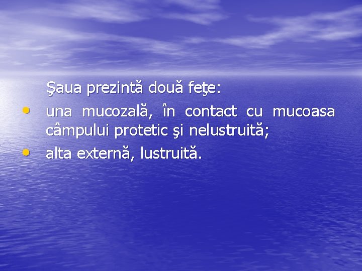  • • Şaua prezintă două feţe: una mucozală, în contact cu mucoasa câmpului