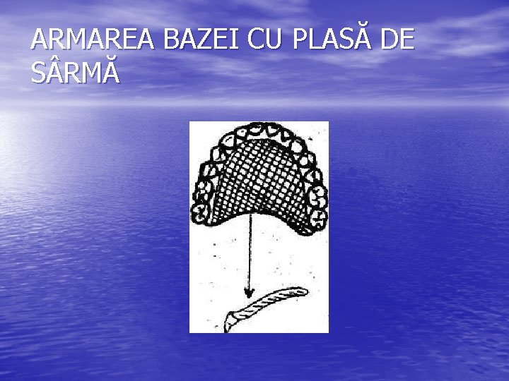 ARMAREA BAZEI CU PLASĂ DE S RMĂ 