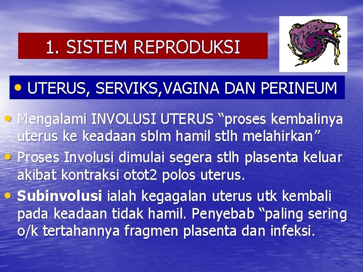 Perubahan Fisiologis Masa Nifas 1 Sistem Reproduksi 5