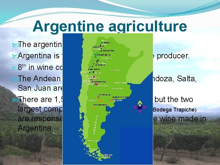 Argentine agriculture The argentine wine: Argentina is the world’s 5 th largest wine producer.