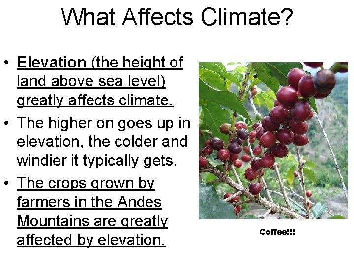 What Affects Climate? • Elevation (the height of land above sea level) greatly affects