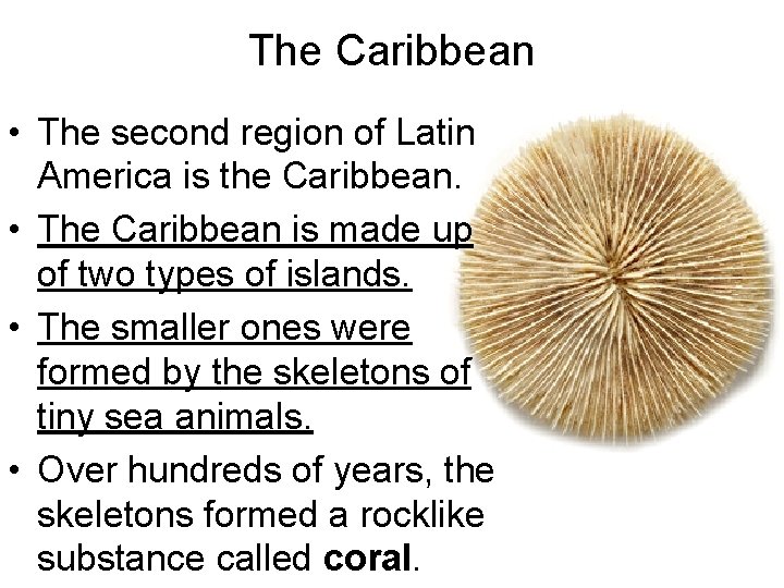 The Caribbean • The second region of Latin America is the Caribbean. • The