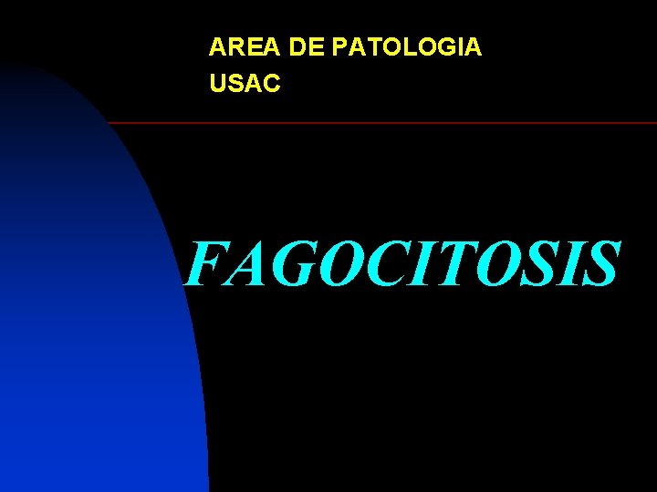 AREA DE PATOLOGIA USAC FAGOCITOSIS 