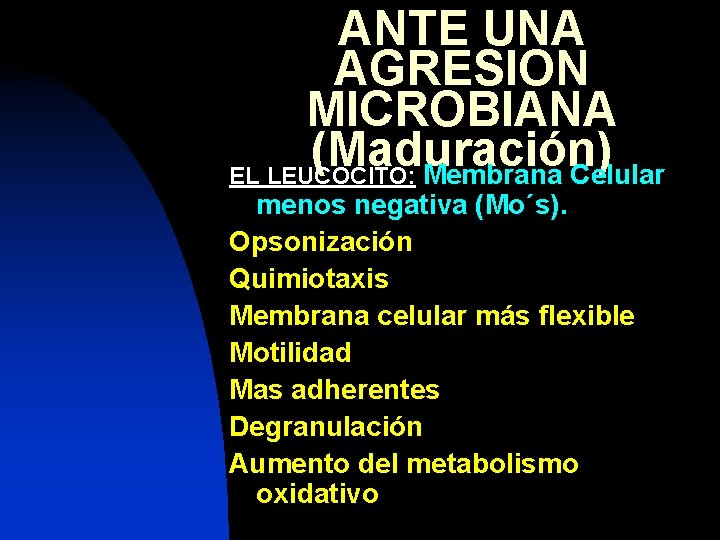 ANTE UNA AGRESION MICROBIANA (Maduración) EL LEUCOCITO: Membrana Celular menos negativa (Mo´s). Opsonización Quimiotaxis