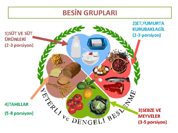 BESİN GRUPLARI 1)SÜT VE SÜT ÜRÜNLERİ (2 -3 porsiyon) 4)TAHILLAR (5 -8 porsiyon) 2)ET,