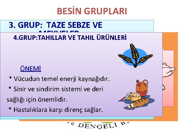 BESİN GRUPLARI 3. GRUP: TAZE SEBZE VE MEYVELER 4. GRUP: TAHILLAR VE TAHIL ÜRÜNLERİ