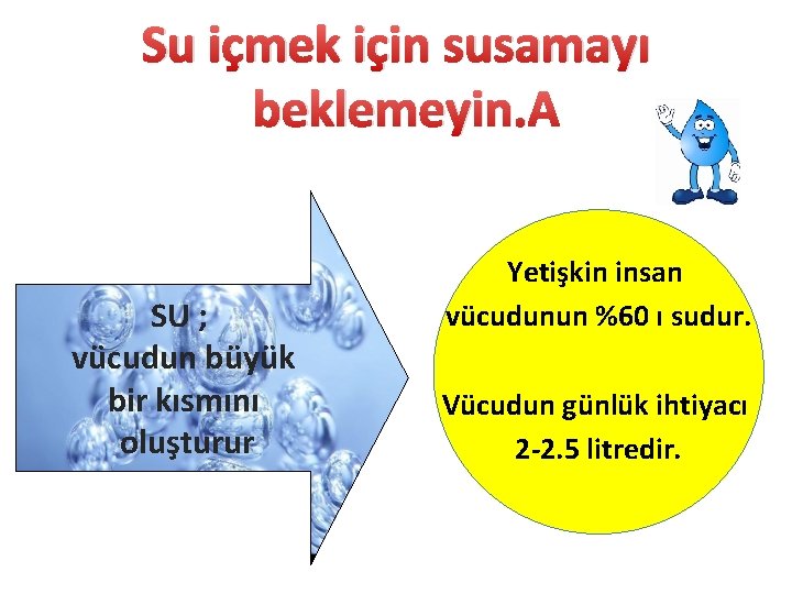 Su içmek için susamayı beklemeyin. SU ; vücudun büyük bir kısmını oluşturur Yetişkin insan