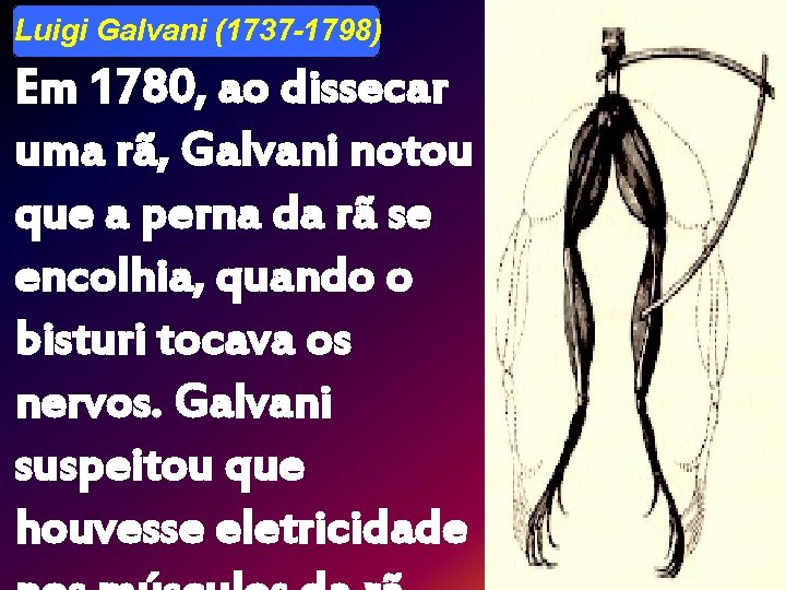 Luigi Galvani (1737 -1798) Em 1780, ao dissecar uma rã, Galvani notou que a