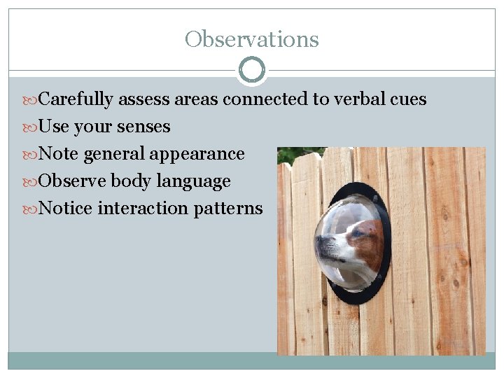 Observations Carefully assess areas connected to verbal cues Use your senses Note general appearance