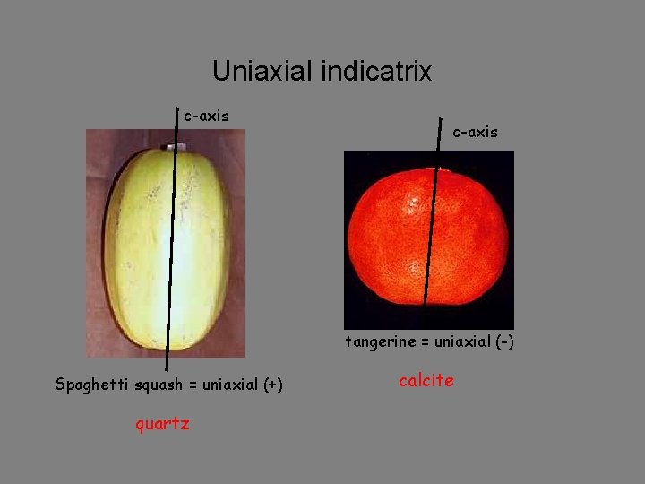 Uniaxial indicatrix c-axis tangerine = uniaxial (-) Spaghetti squash = uniaxial (+) quartz calcite