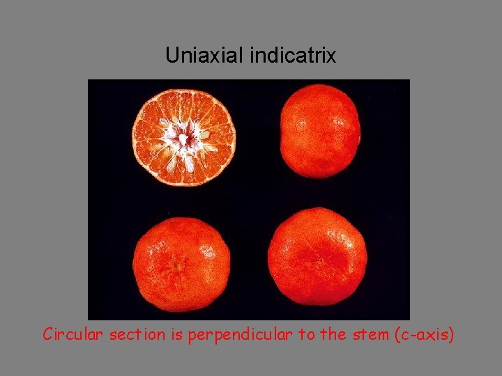 Uniaxial indicatrix Circular section is perpendicular to the stem (c-axis) 