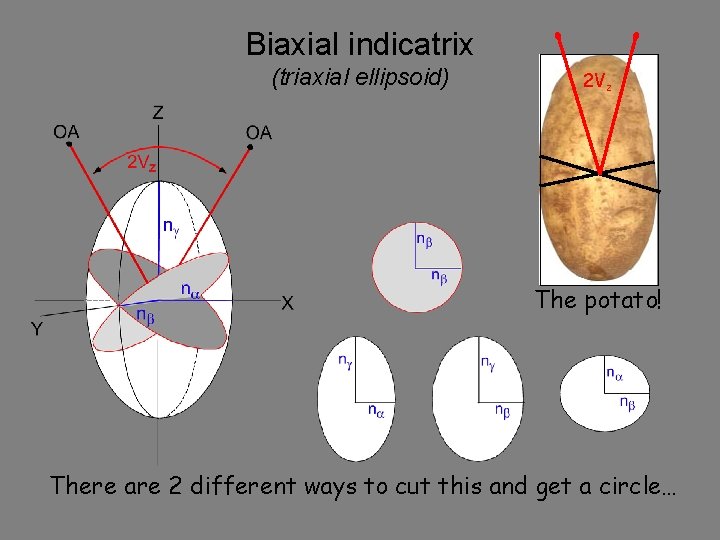 Biaxial indicatrix (triaxial ellipsoid) 2 Vz The potato! There are 2 different ways to