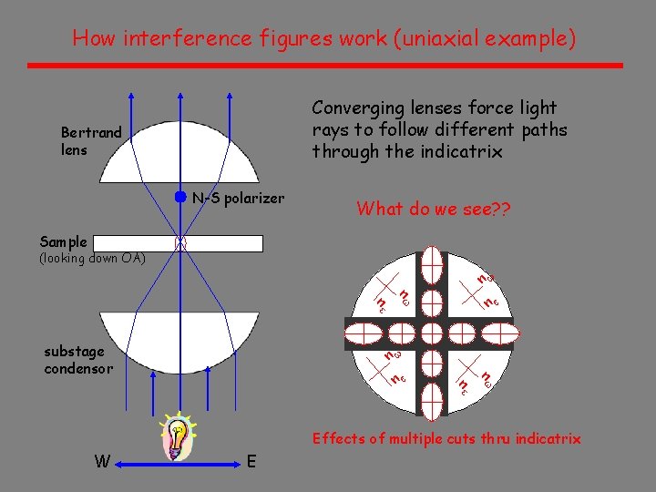 How interference figures work (uniaxial example) Converging lenses force light rays to follow different