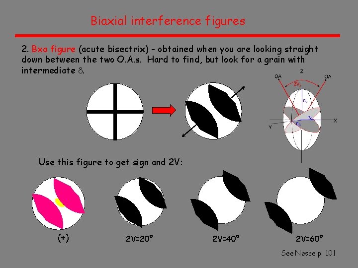 Biaxial interference figures 2. Bxa figure (acute bisectrix) - obtained when you are looking