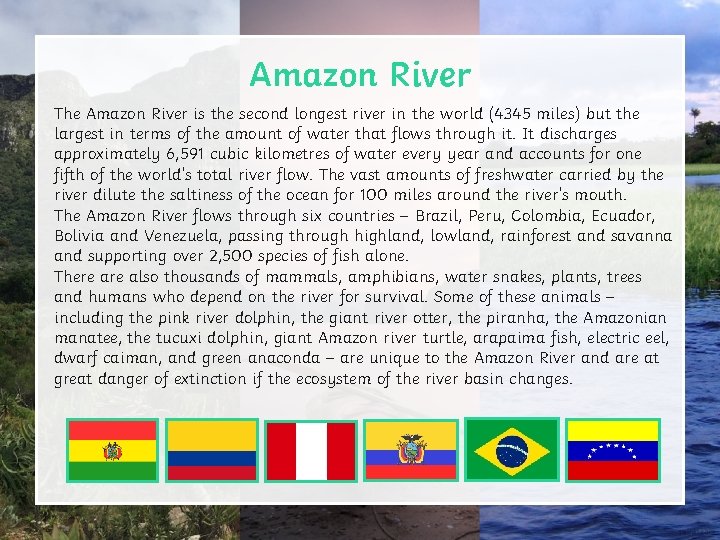 Amazon River The Amazon River is the second longest river in the world (4345