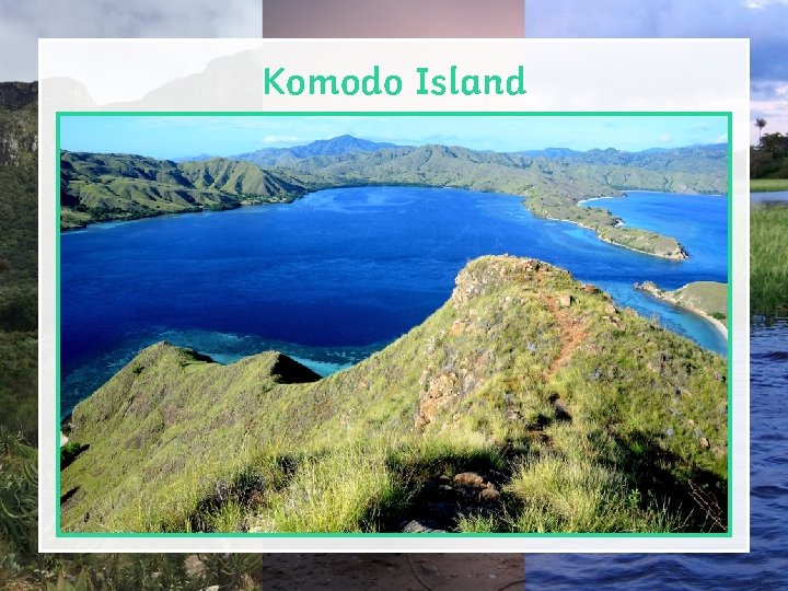 Komodo Island 