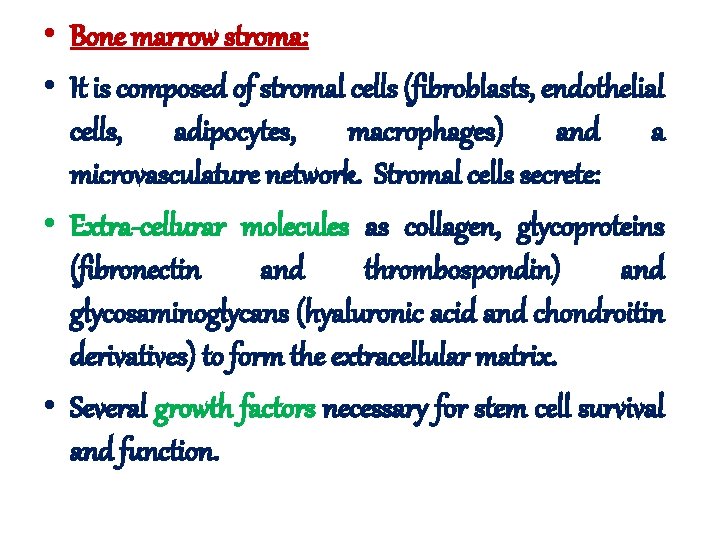  • Bone marrow stroma: • It is composed of stromal cells (fibroblasts, endothelial