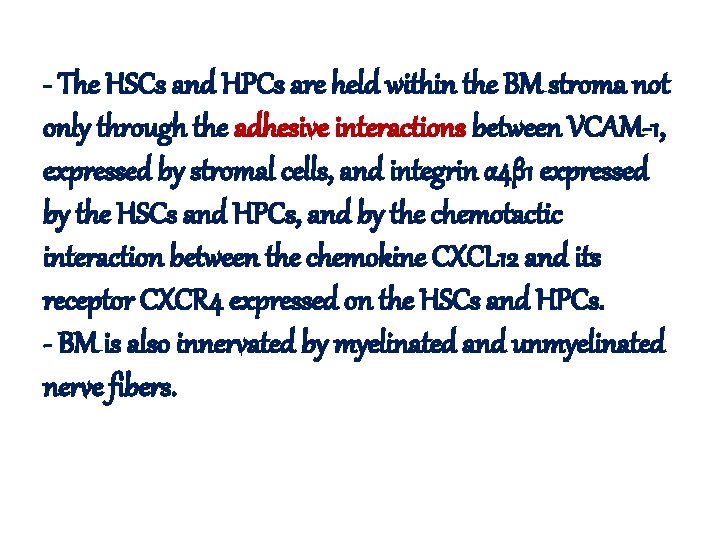 - The HSCs and HPCs are held within the BM stroma not only through