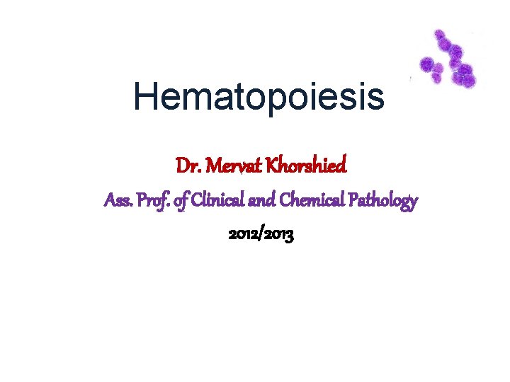 Hematopoiesis Dr. Mervat Khorshied Ass. Prof. of Clinical and Chemical Pathology 2012/2013 