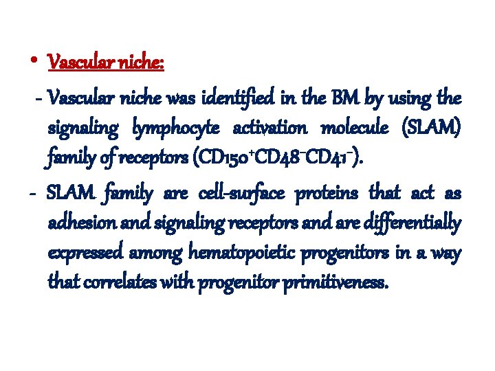  • Vascular niche: - Vascular niche was identified in the BM by using