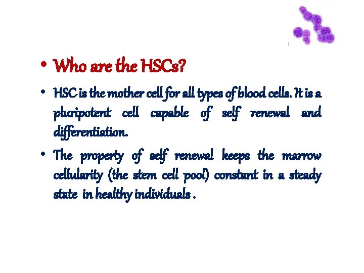  • Who are the HSCs? • HSC is the mother cell for all